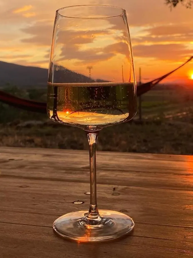 When In Maremma contacts