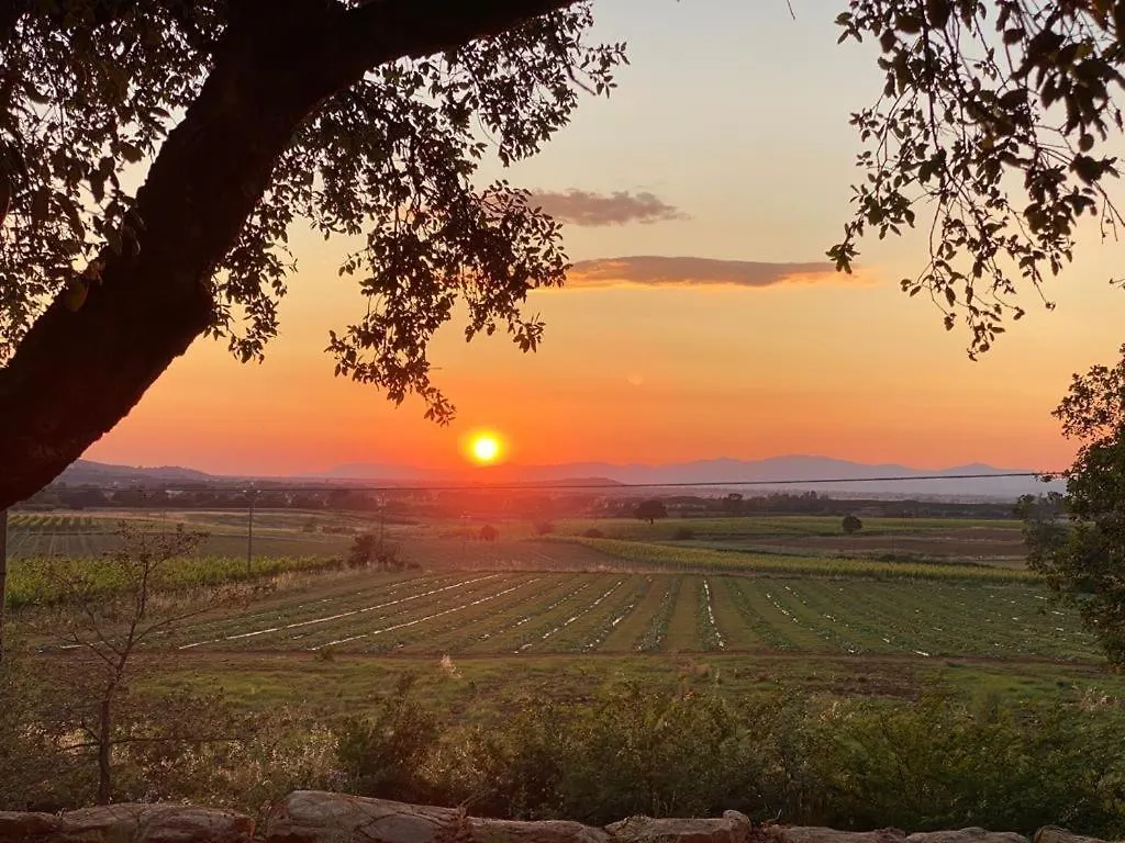 Appartamento When In Maremma Alberese Italia